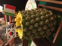 IMG 0664 (Copy)